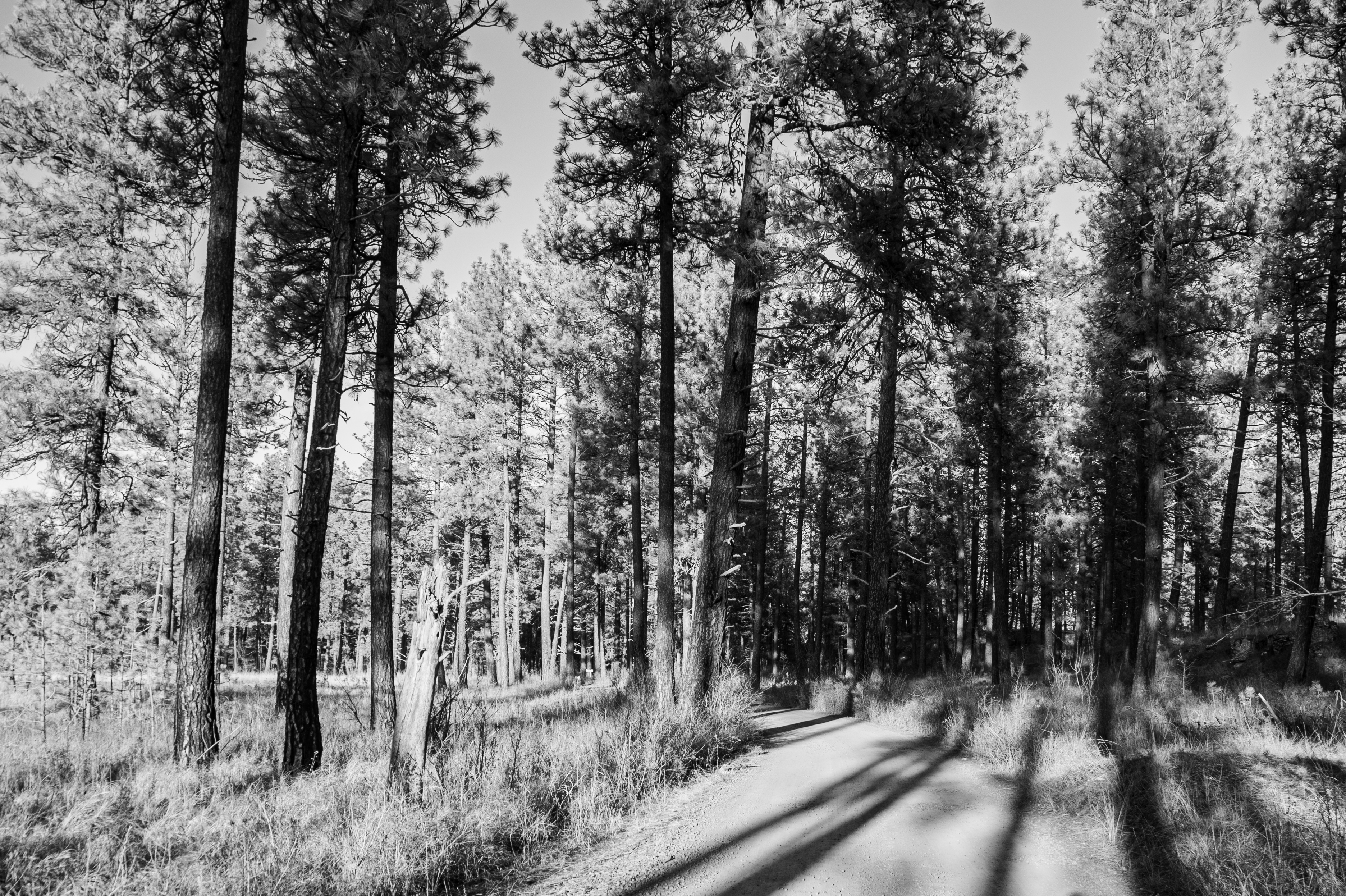 Along the Path